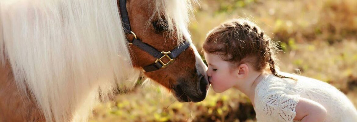 Rose Lee Photography