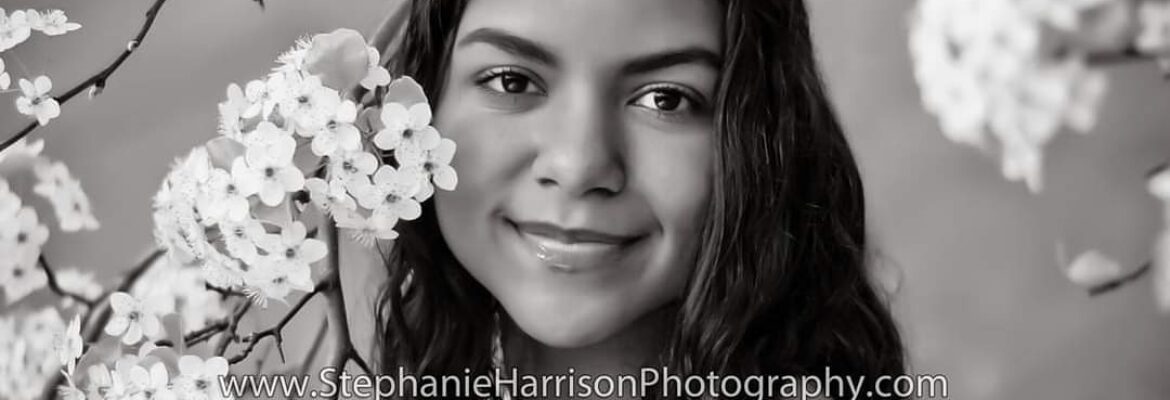 Stephanie Harrison Photography