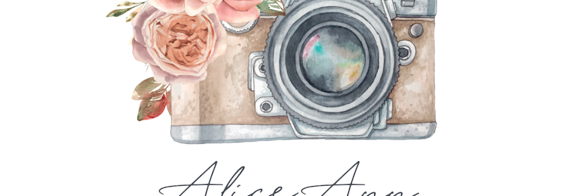 Alice Ann Photography