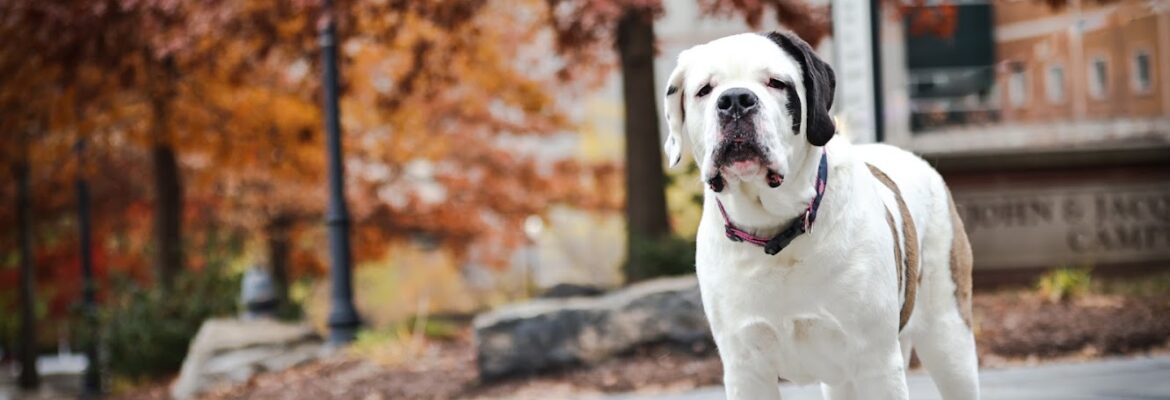 Tim Drewes Photography
