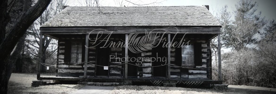 Anna Fidelis Photography