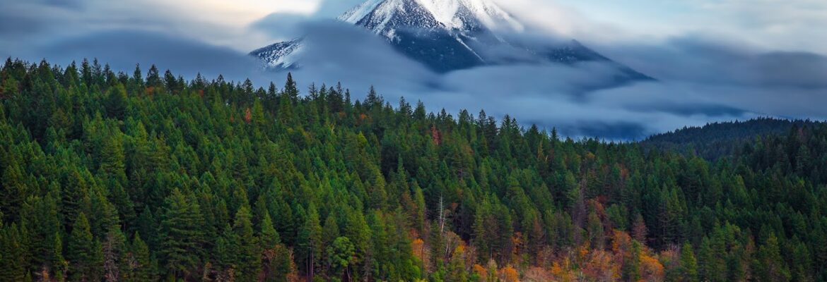 Glance of Heaven Photography