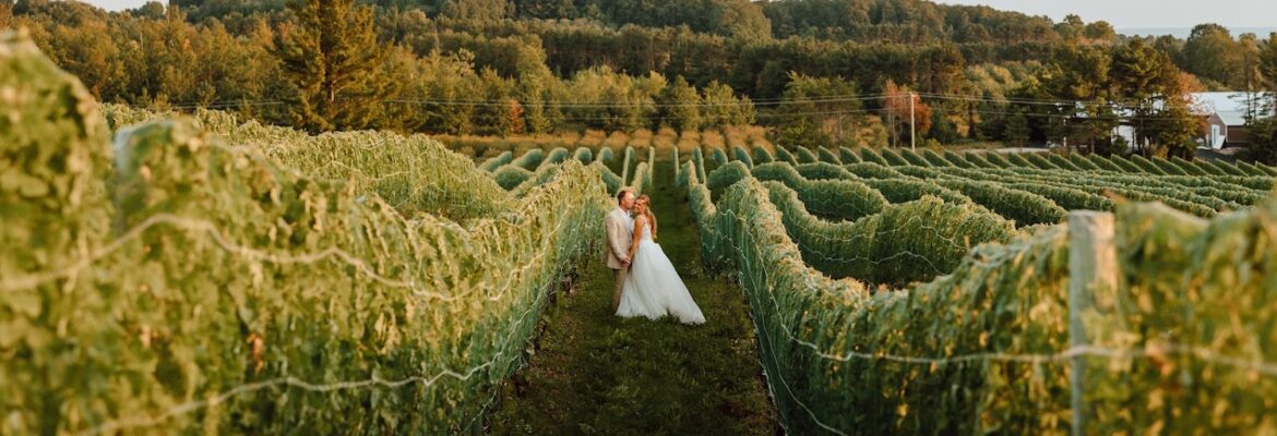 Rachel Falardeau Photography