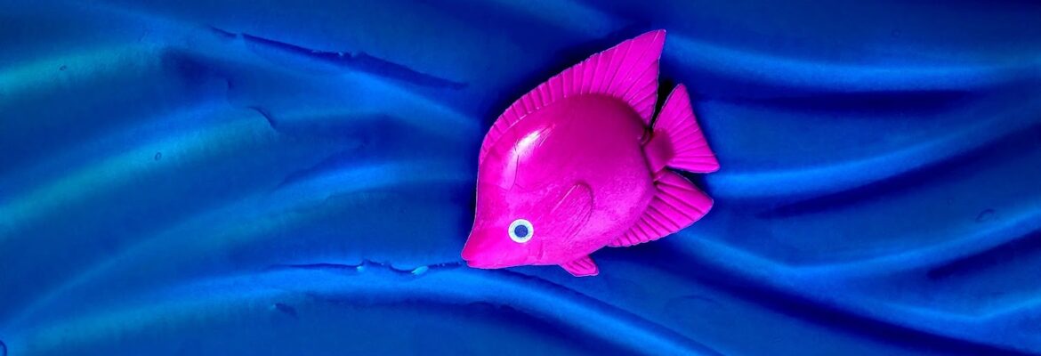 Got The Eye Photography