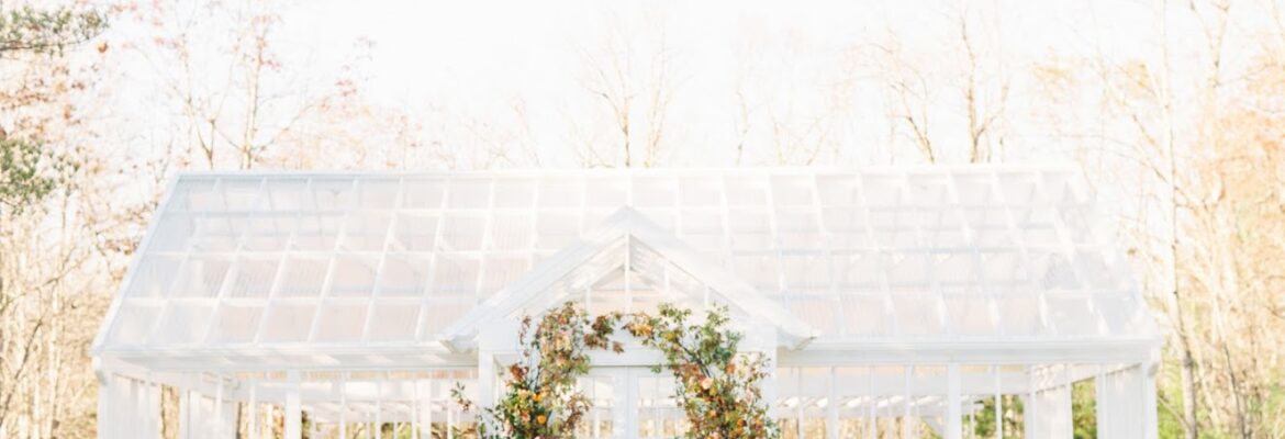 Megan Travis Photography