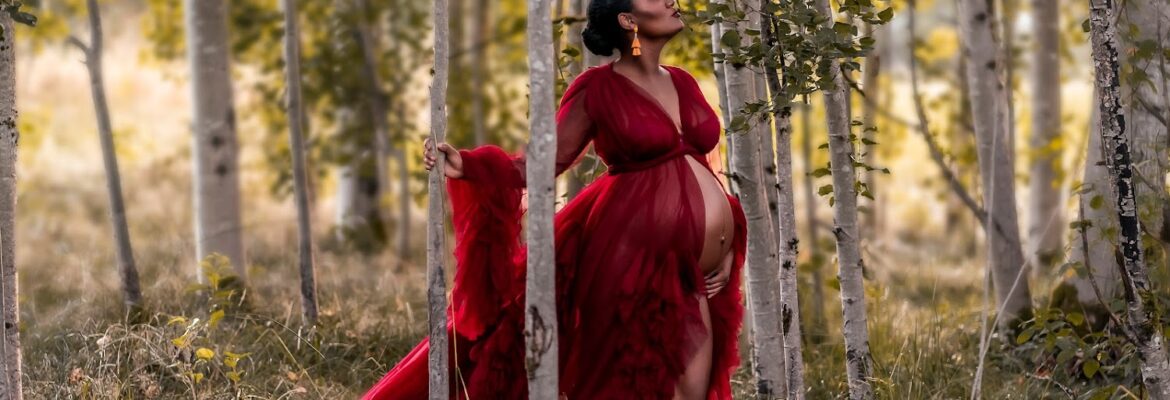 Lana Stewart Studios