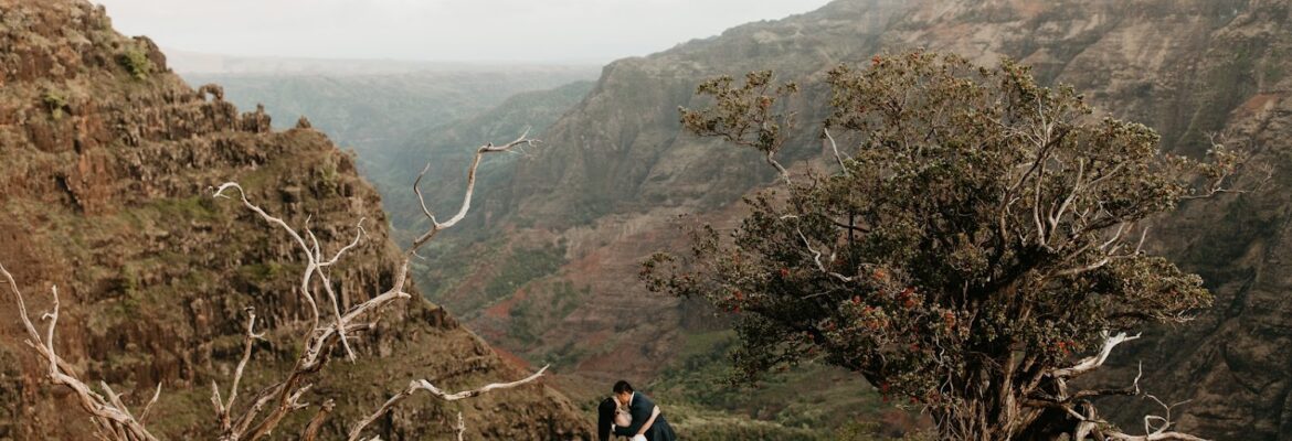 Nicole Daacke Photography