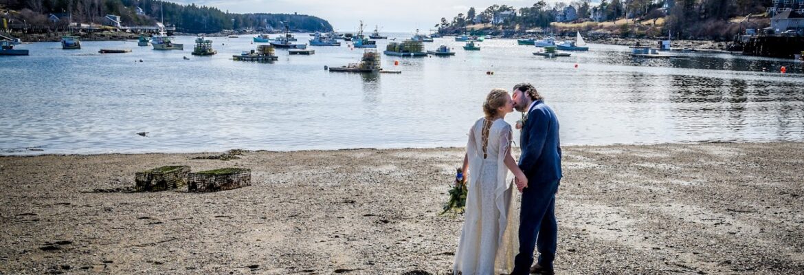 Lisa Elizabeth Photography