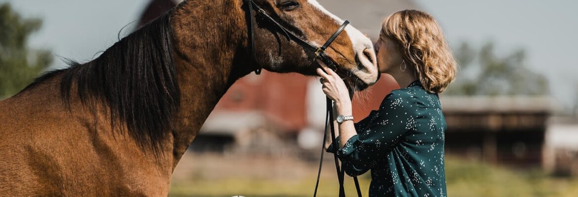 Aster Equine Photography