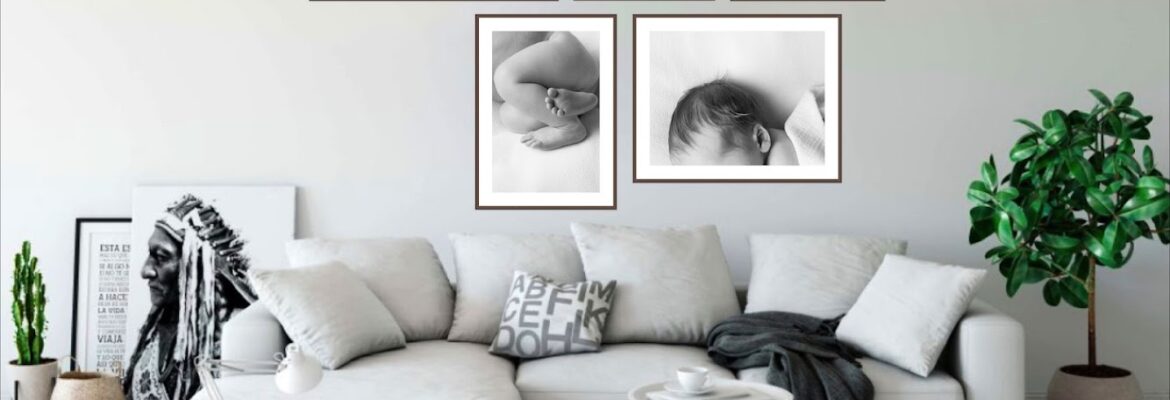 Insley Photography