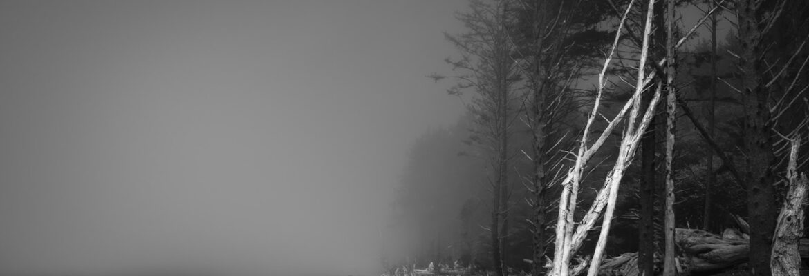 Deliganis Photography