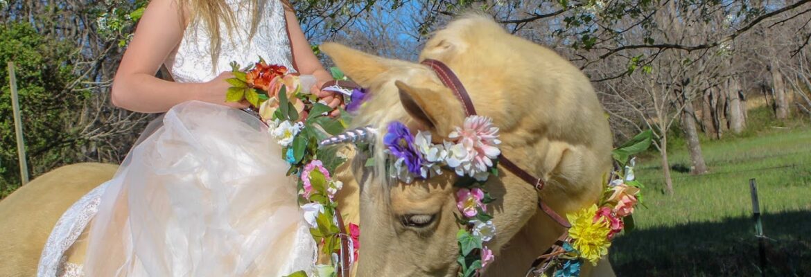 In The Moment Photography