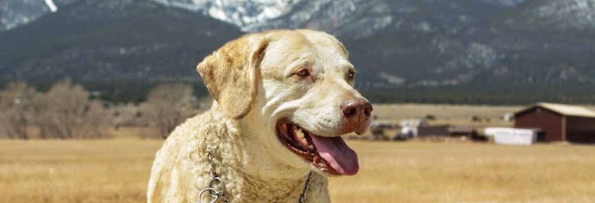 Aly Doxtater Photography