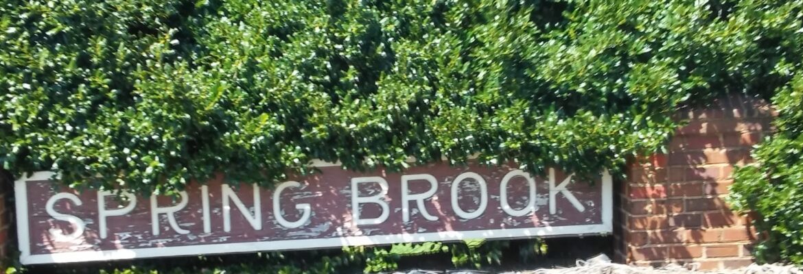 Visions by Heather Photography