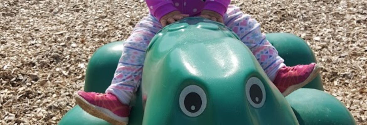 Tracy’s Photography