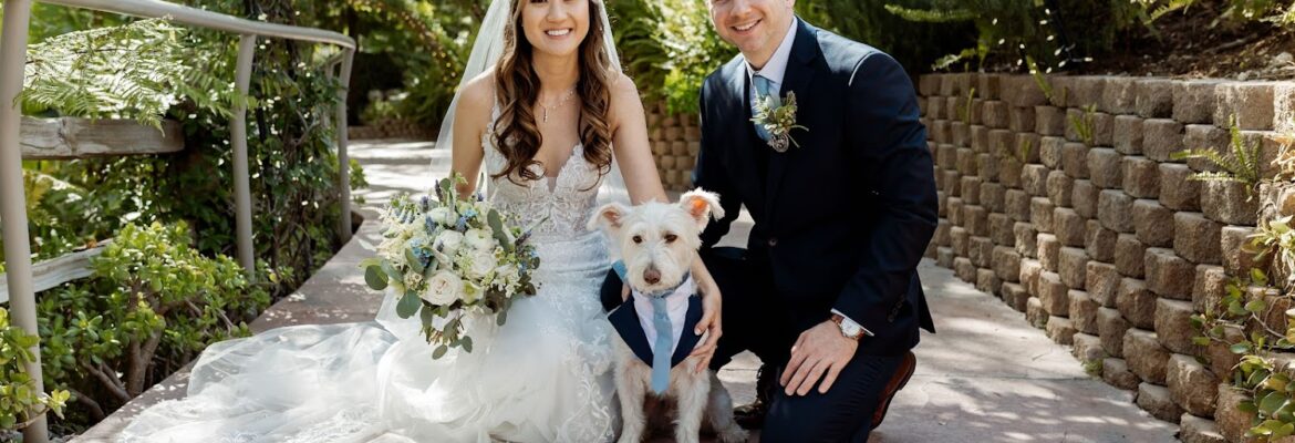 Lasaundra D Photography