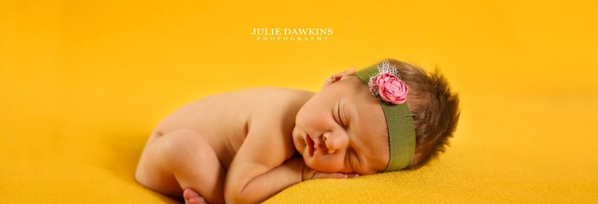 JULIE DAWKINS PHOTOGRAPHY