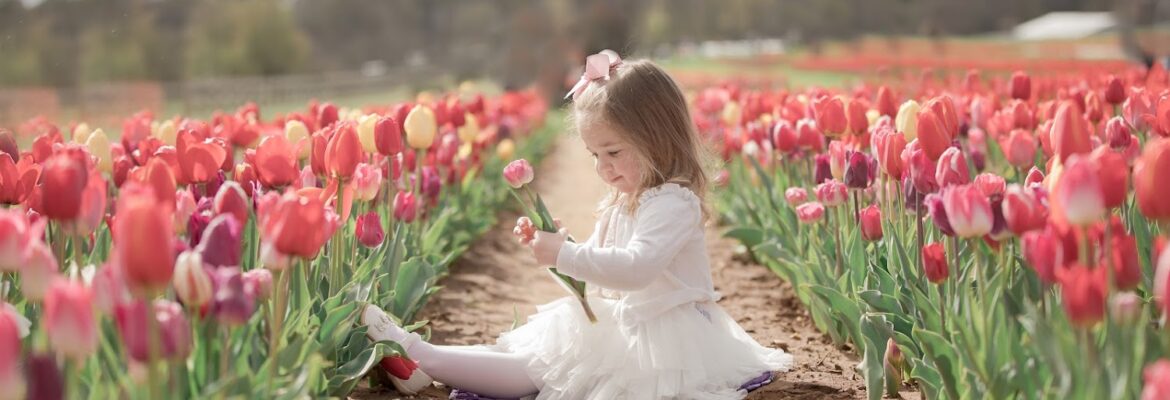 Shuttershock Photography- NJ