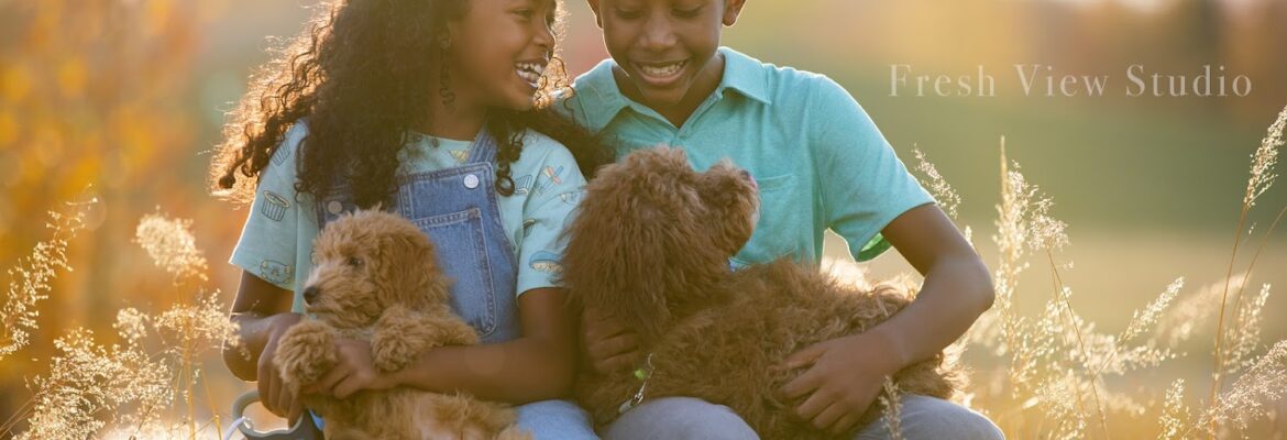 Fresh View Studio, LLC