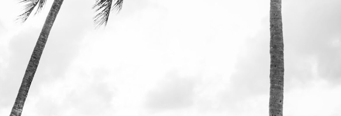 Kelilina Photography and Films