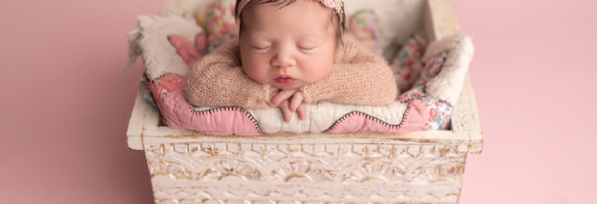 Luersen Signature Photography