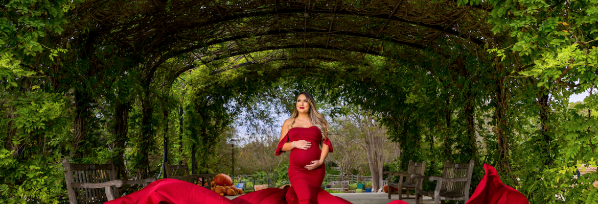 Daniel W Torres Photography