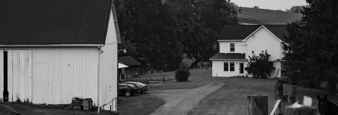 Treble H Photography