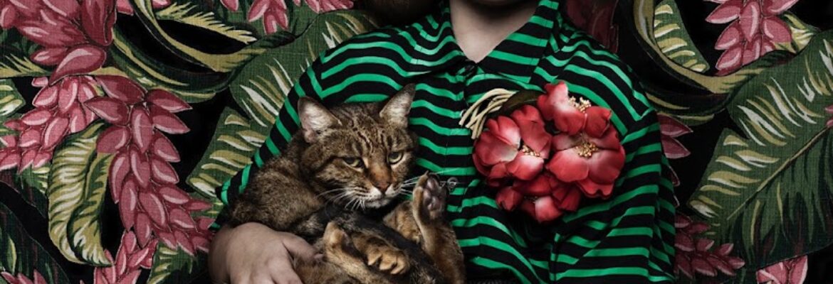 Shelly Mosman Photography
