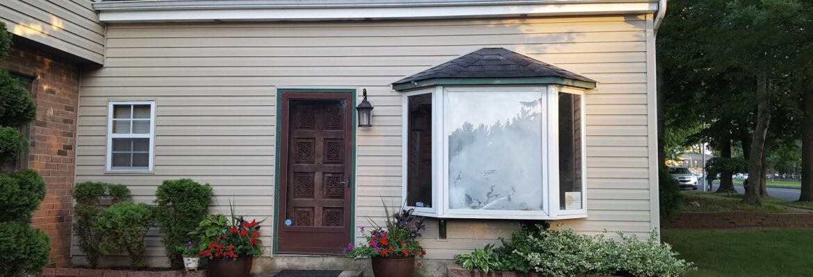 ViolettaB Photography