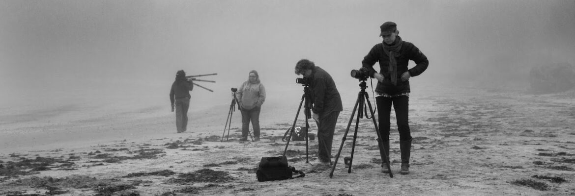 Mickey Strand Photography