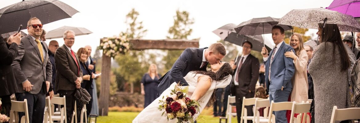 Whitney Davis Photography