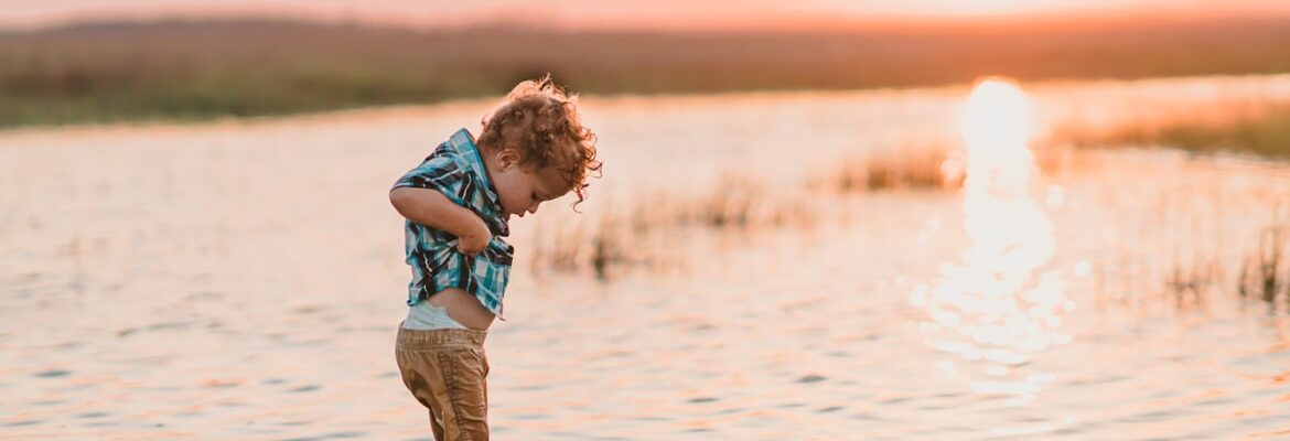 Rachel Weber Photography LLC