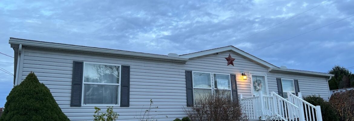 Lilyroot Studio Photography