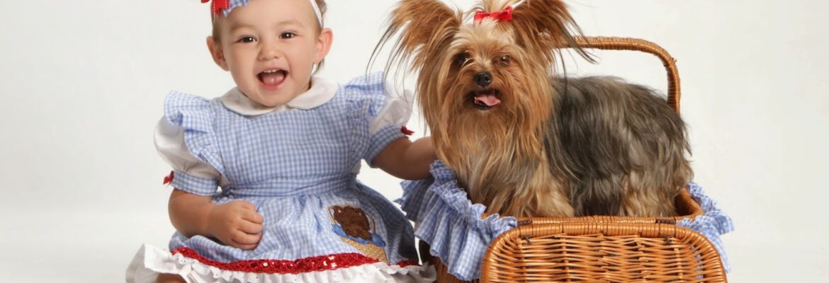 JUST SHOOT ME Photography Studio