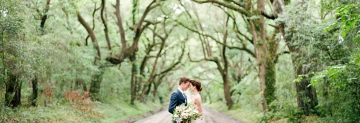 Faith Teasley Photography