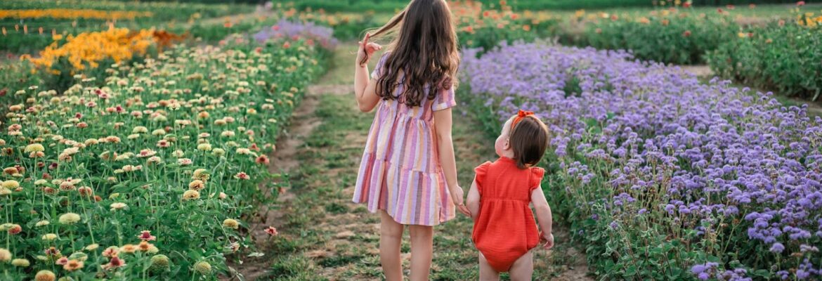 Diane Stark Photography