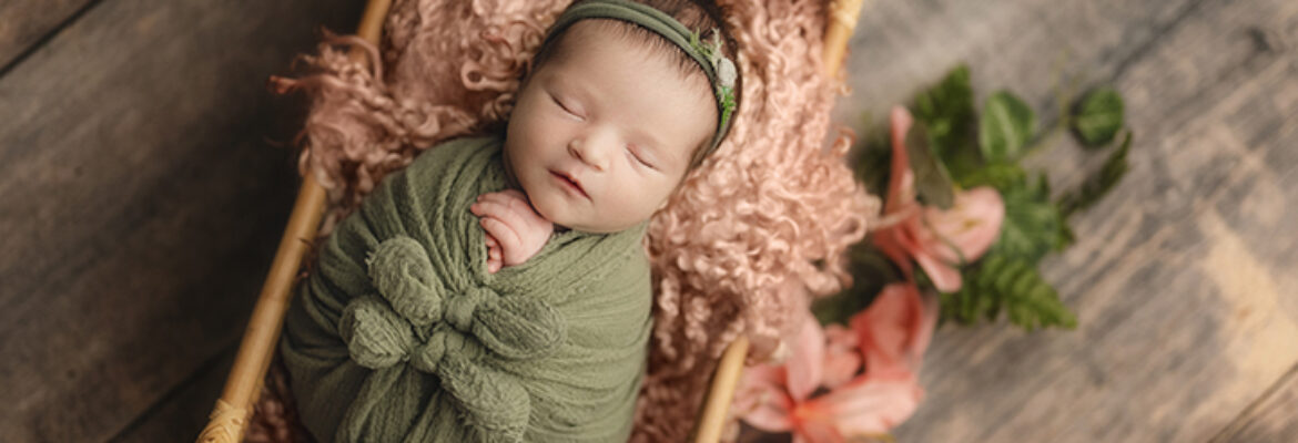 Denise Marie Photography