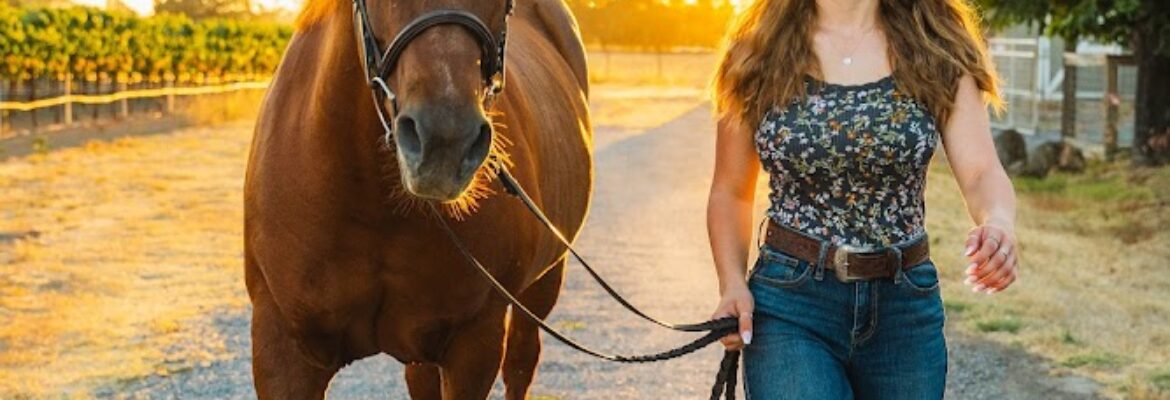 Brian Davis Photography