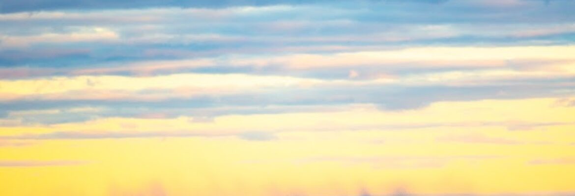 Alexandra L Fisher Photography
