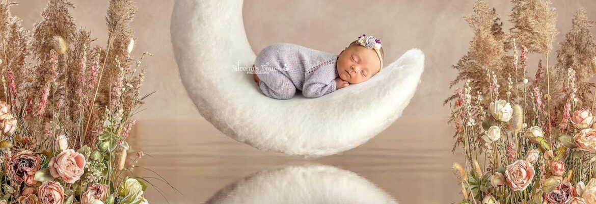 Silveira’s Touch Photography