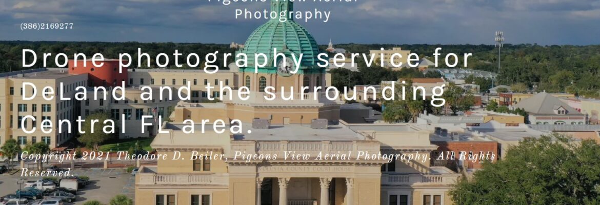 Pigeons View Aerial Photography