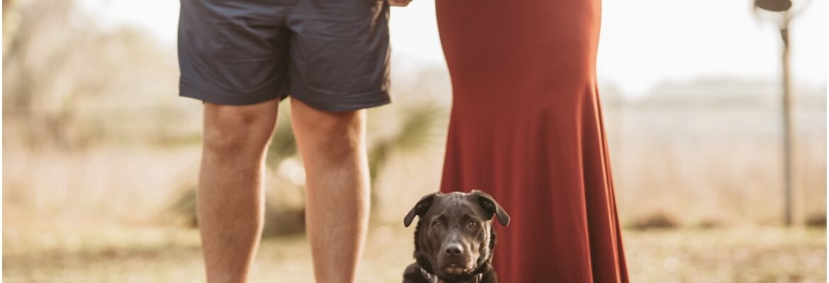 Sarah Miller Photography