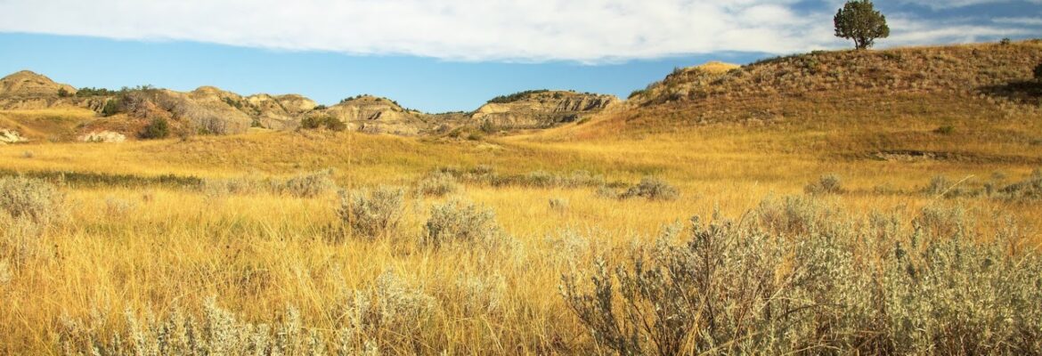 Crooked Creek Photos, LLC