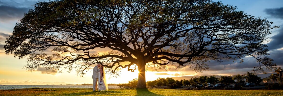 LifeSlice Photography