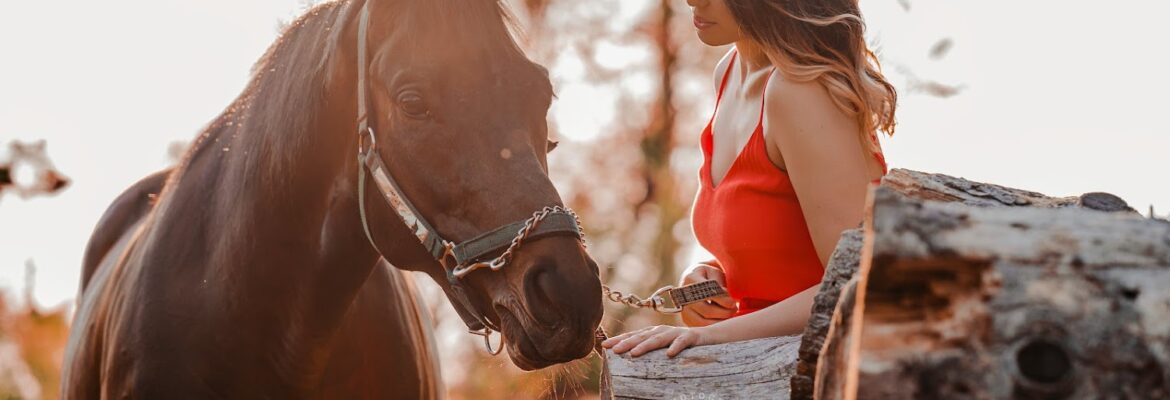 Kohta Rincon Photography LLC | Cincinnati, Ohio | Horse & Pet + Portrait Photography
