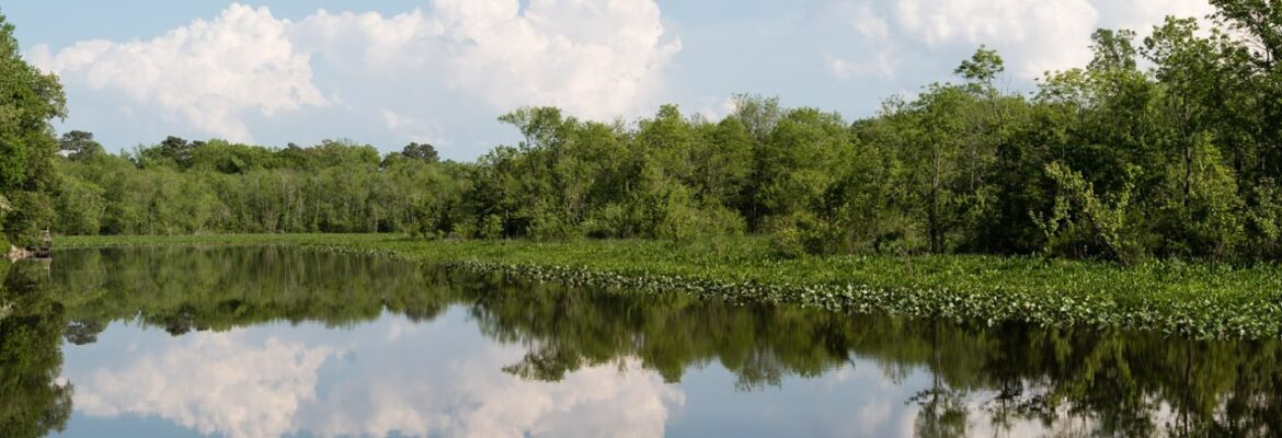 Steve Atkinson – Fine Art Photographer/Business & Personal