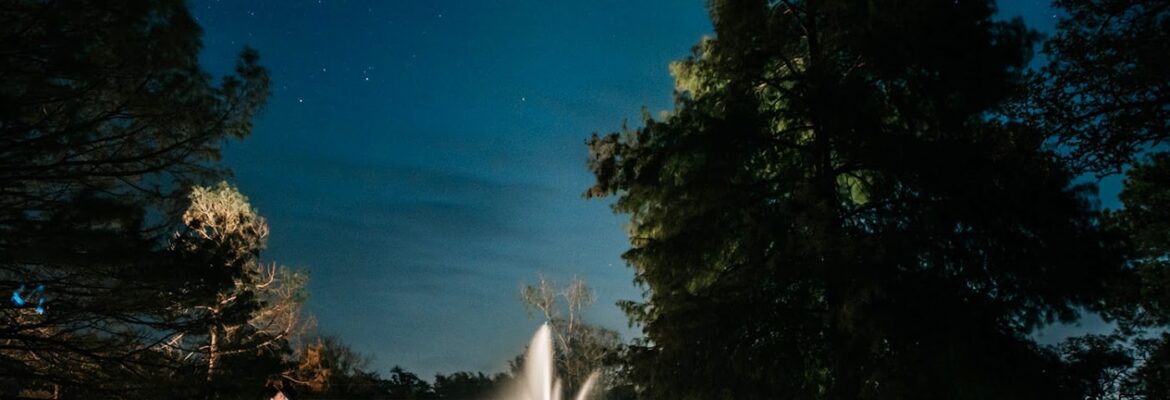 All Heart Photography