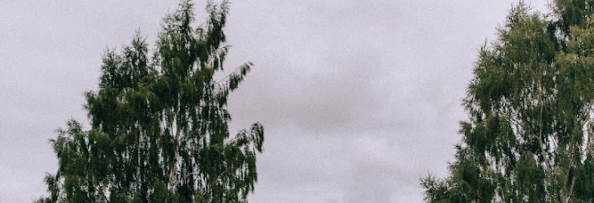 Vadim Paripa Photography