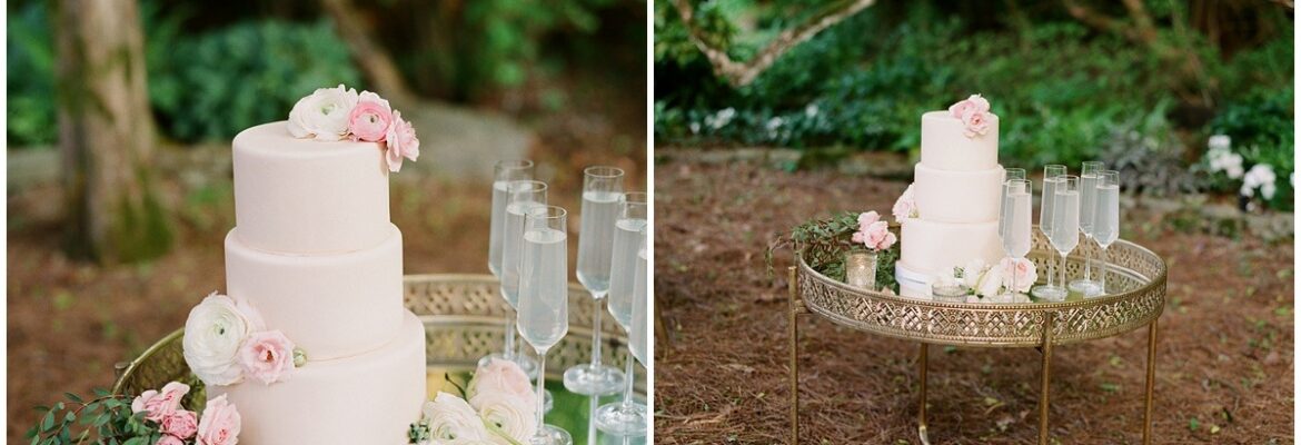 Kelly Grace Photography