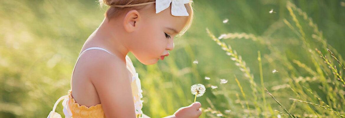 Tara Swain Photography LLC